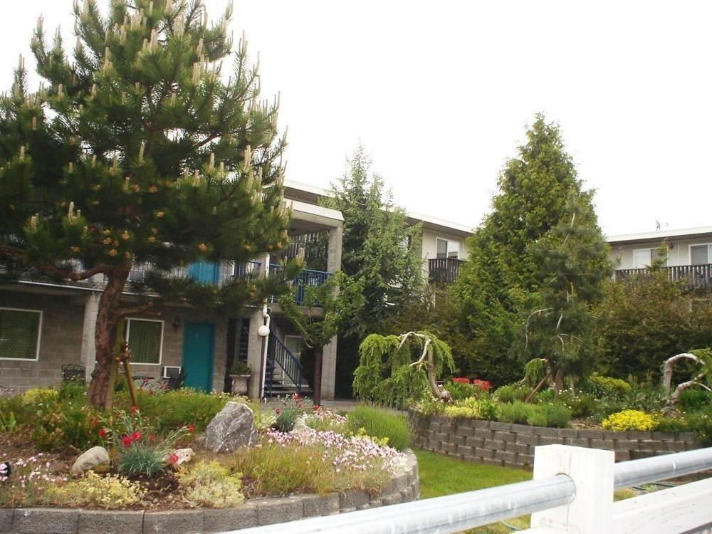 Bayside Motor Inn Blaine Luaran gambar